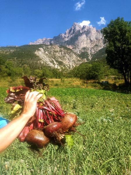 Les Coulisses des Écrins : Les jardins de Florette_Les Vigneaux