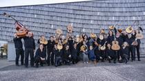 Fête de la Musique - Capitainerie_Roanne