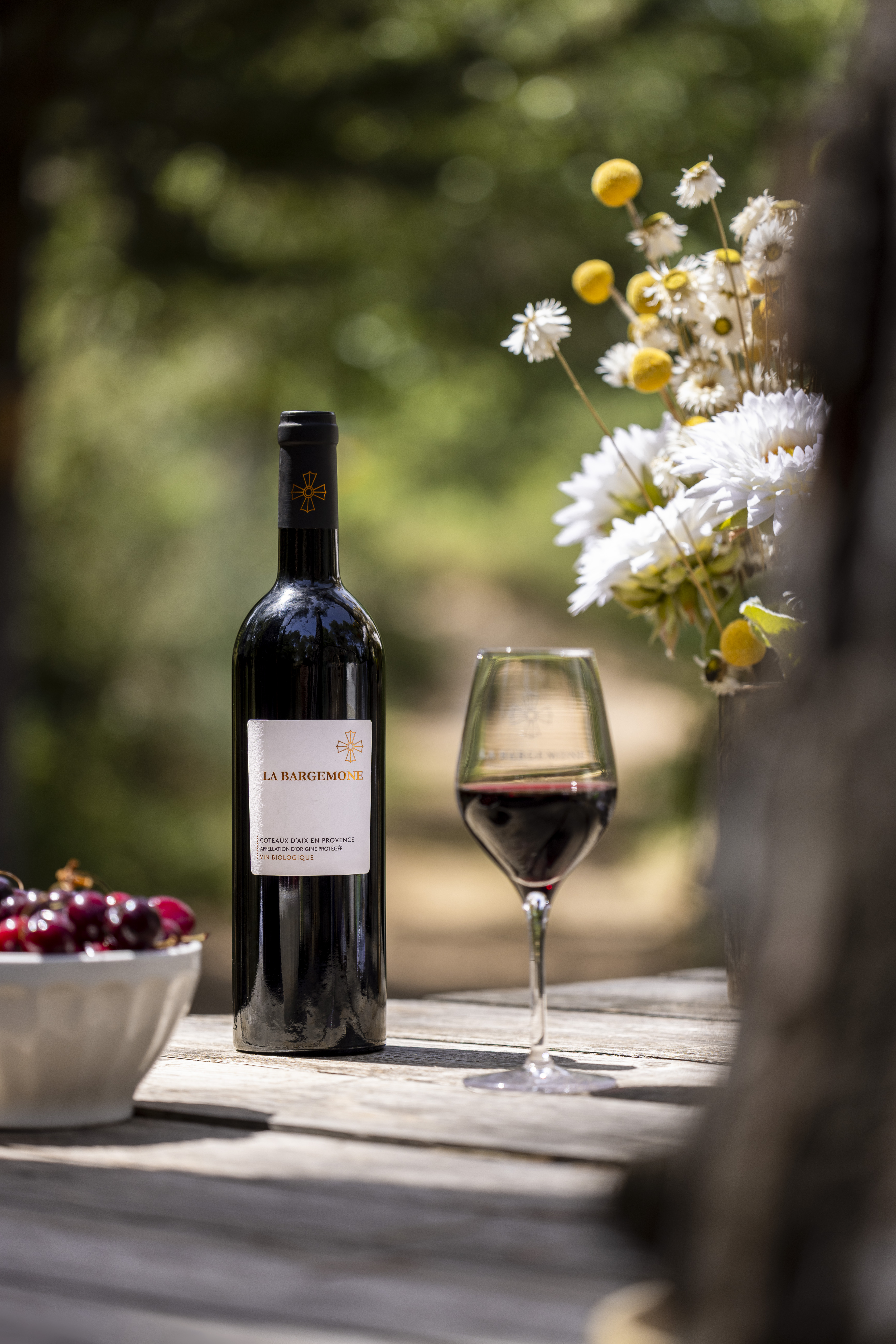 Domaine Bargemone - photo 5