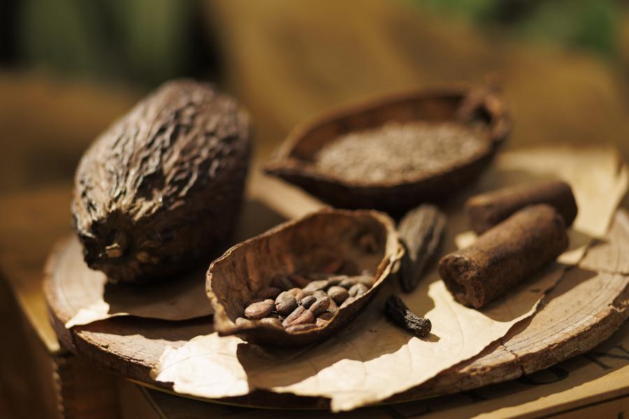 La Maison du Chocolat et Cacao_Roquebrune-sur-Argens