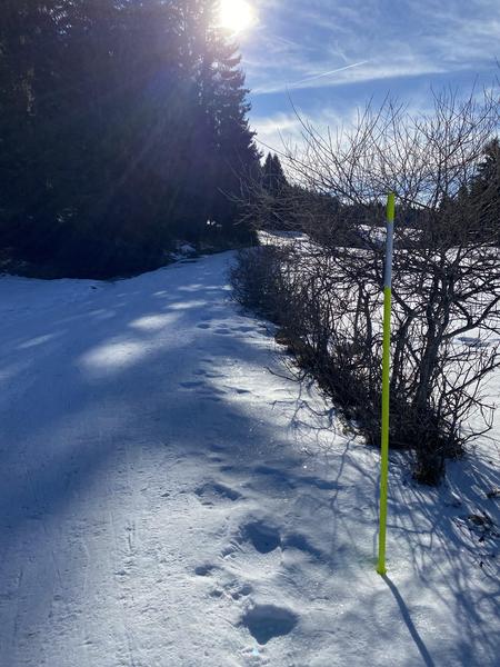 Itinéraire raquettes à neige : la petite traversée_Le Revard