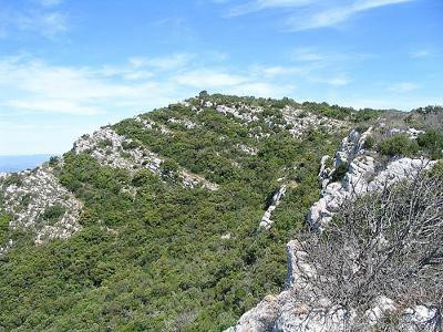 Taulisson - circuit VTT 3