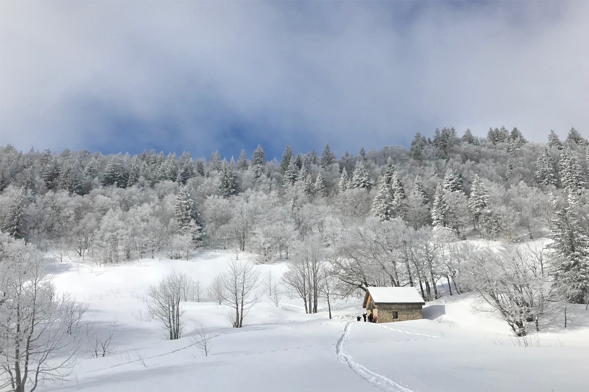 Ski de randonnée nordique en Vercors: le plaisir du Hors Piste ( niveau confirmé)