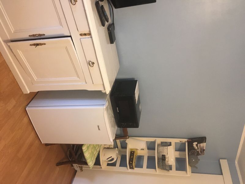 Le réfrigérateur et le four