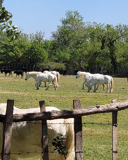 Manade Albert Chapelle - photo 2