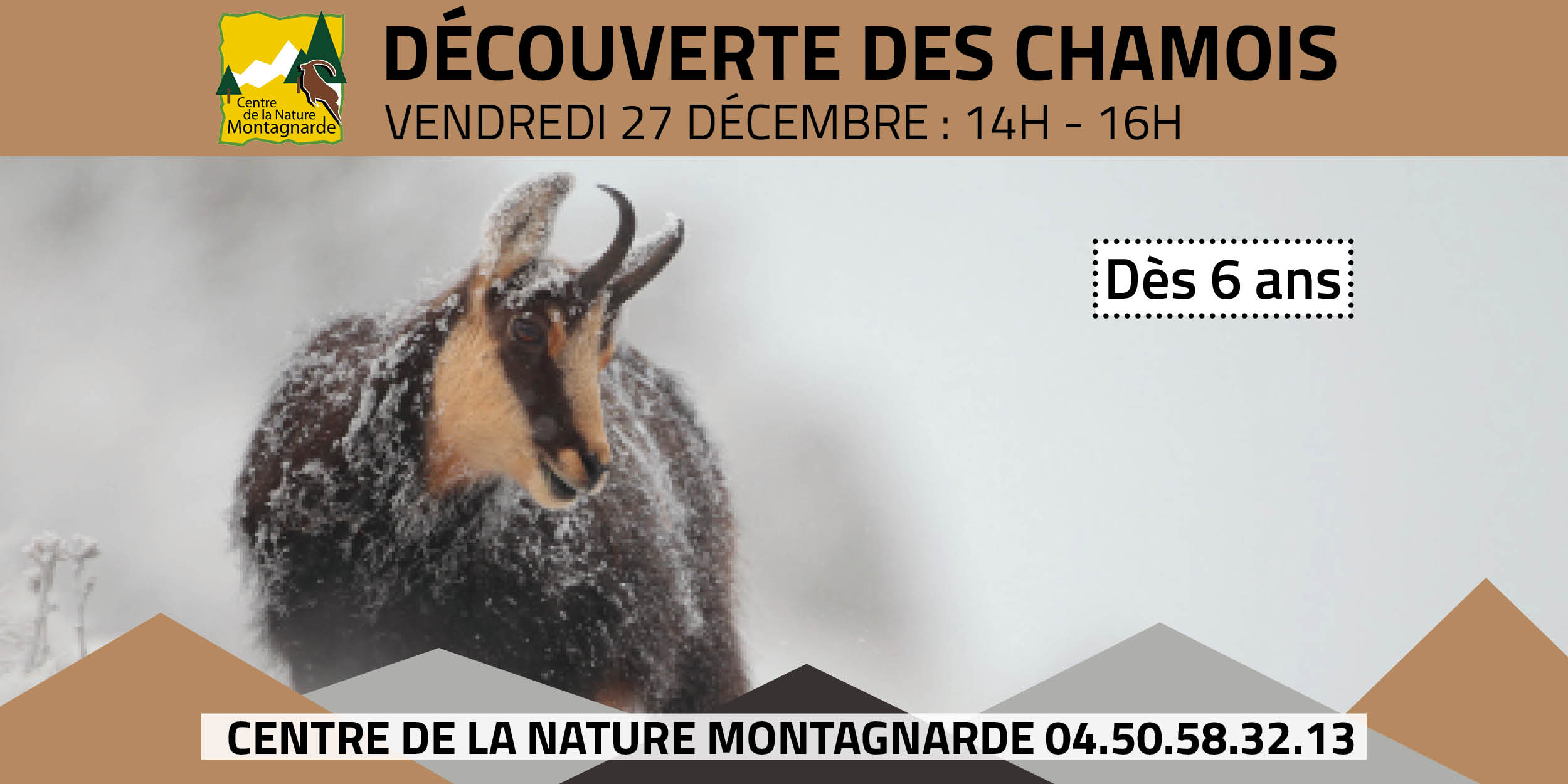 Découverte des chamois