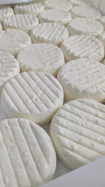 GAEC Dei Reïcampadis_Le Bourguet