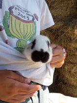 Ferme découverte de Beauvoir