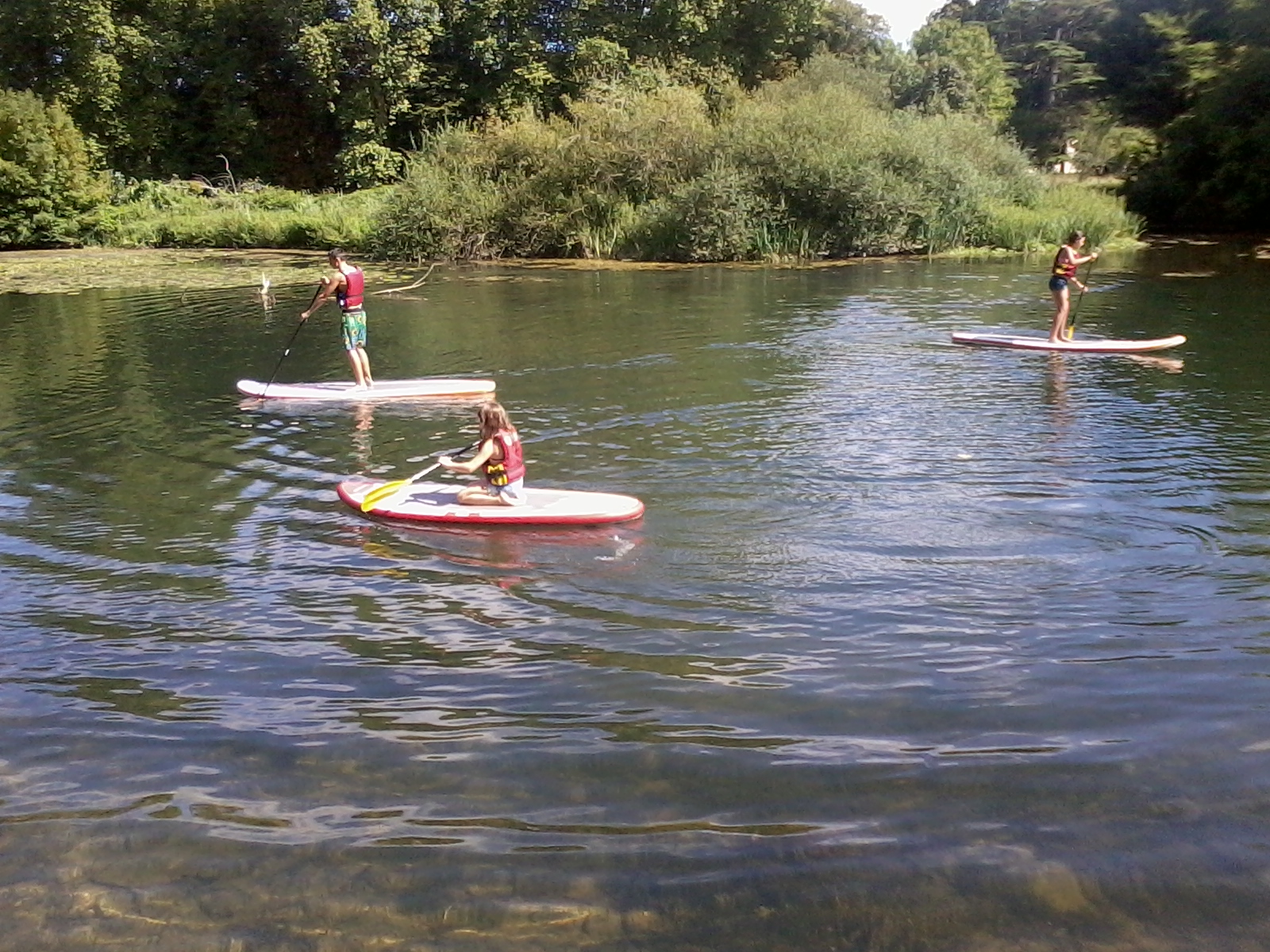 Paddle-board découverte