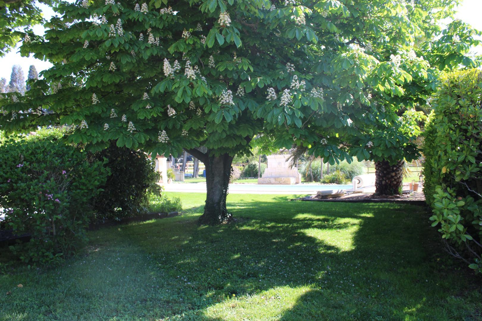 Le Mas des Fontaines, Châteaurenard - photo 26