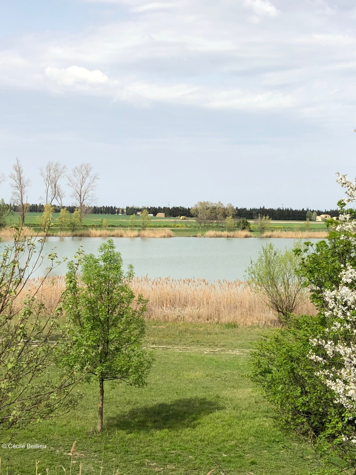 Lac du Barreau