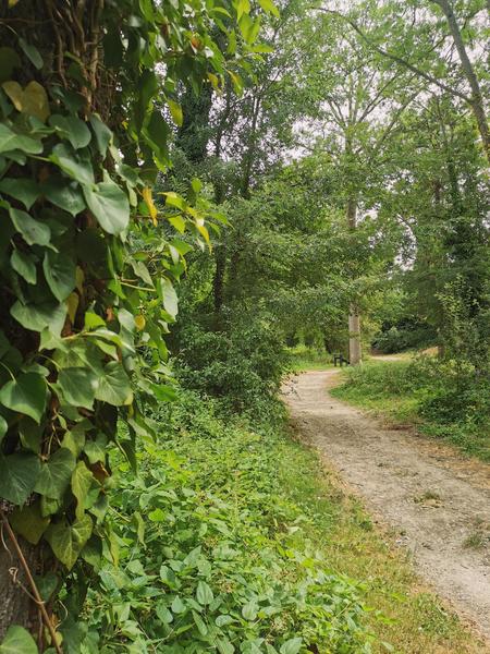 Parc du Moulin / Roger Moessner