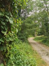 Parc du Moulin / Roger Moessner_Breuillet