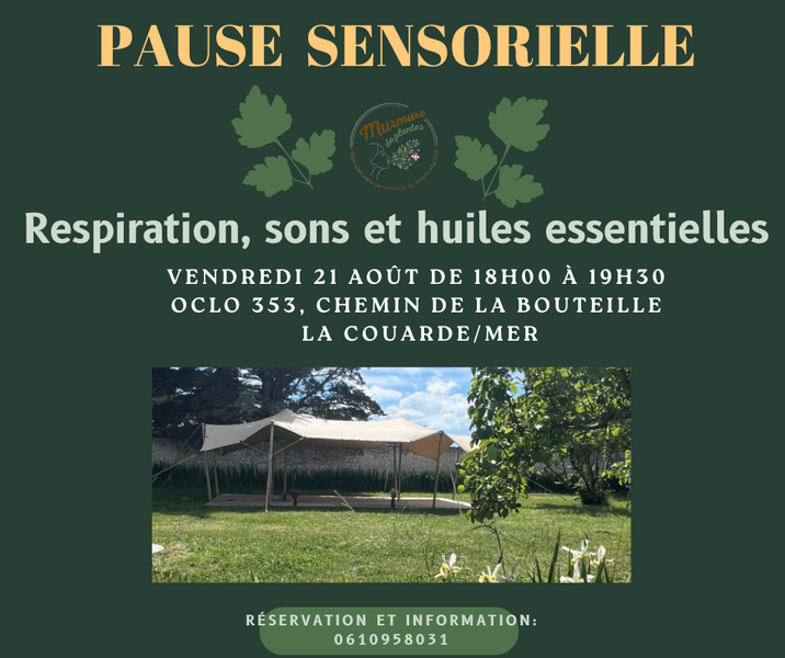 Pause sensorielle : respiration, sons et huiles essentielles