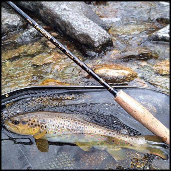 Sortie randonnée et pêche nature_Passy