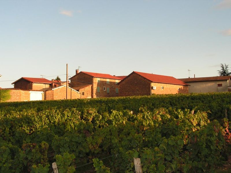 Blacé, Domaine de la Côte de Berne