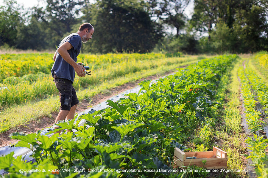La Cueillette du Rocher