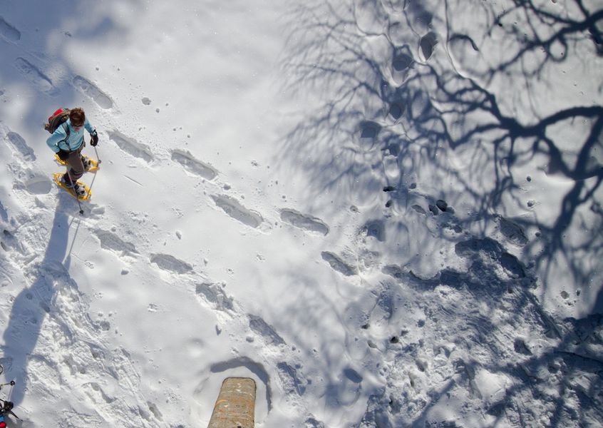 Snowshoeing : Bécret trail