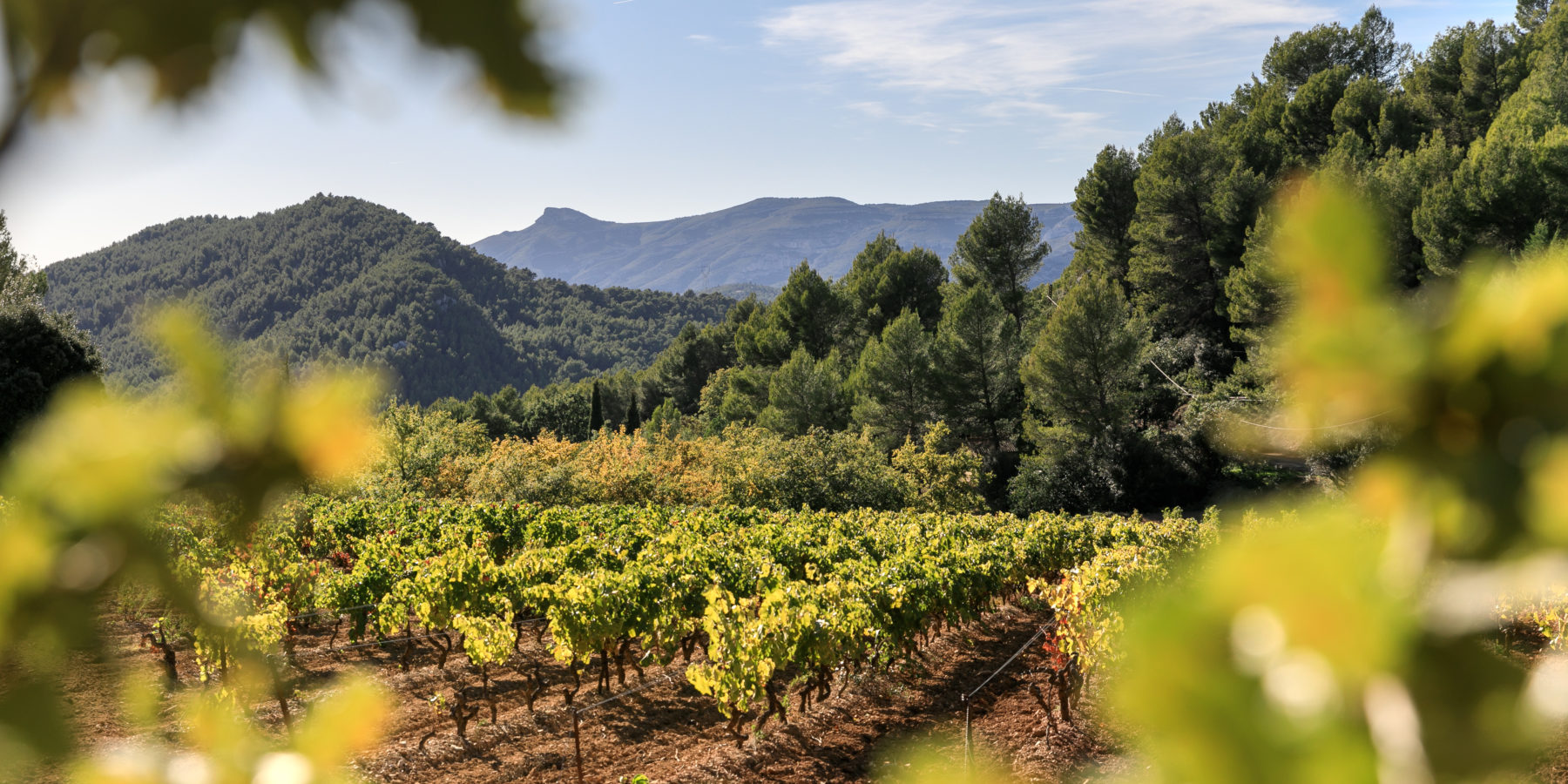 Les Vignerons du Garlaban et du Golfe d'Amour