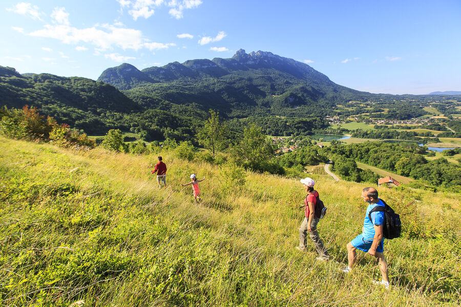 Randonnée pédestre