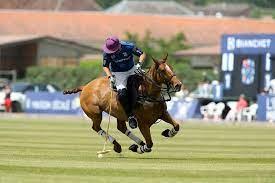 Haras de Gassin - La saga challenge_Gassin