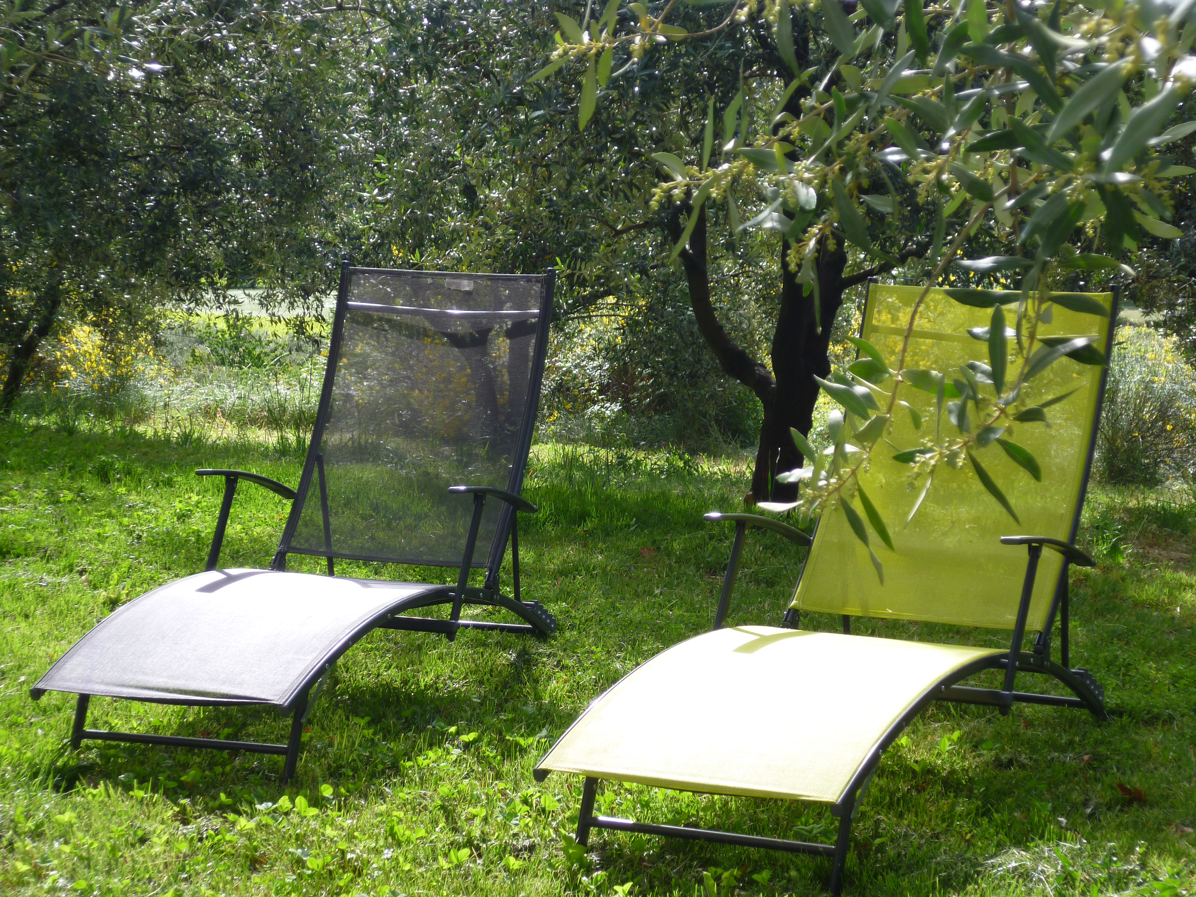 jardin
