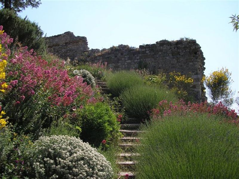 Sentier archéologique et botanique