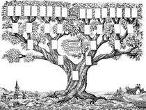 coloriage-ancienne-illustration-arbre-genealogique-jpg.jpeg