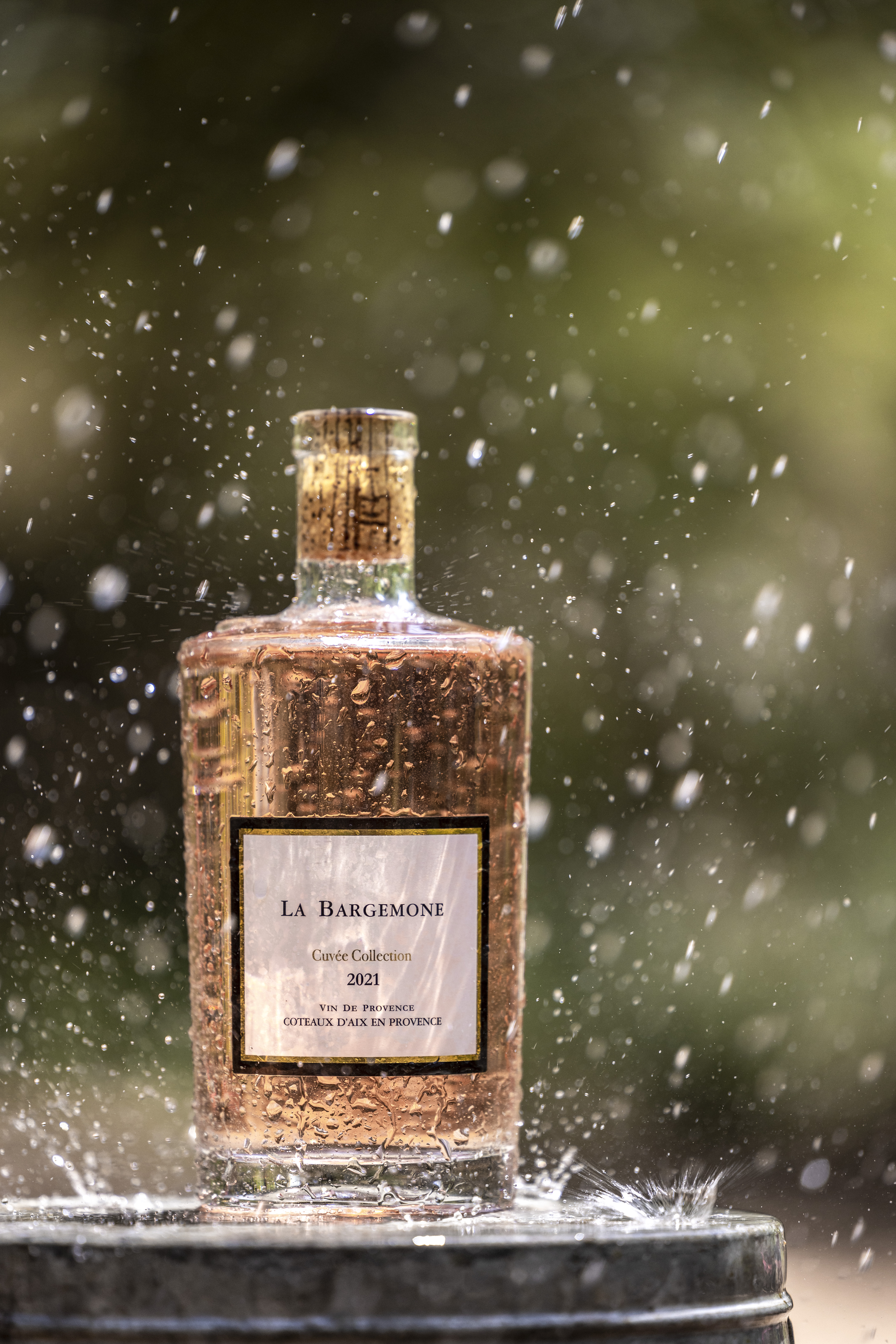 Domaine Bargemone - photo 2