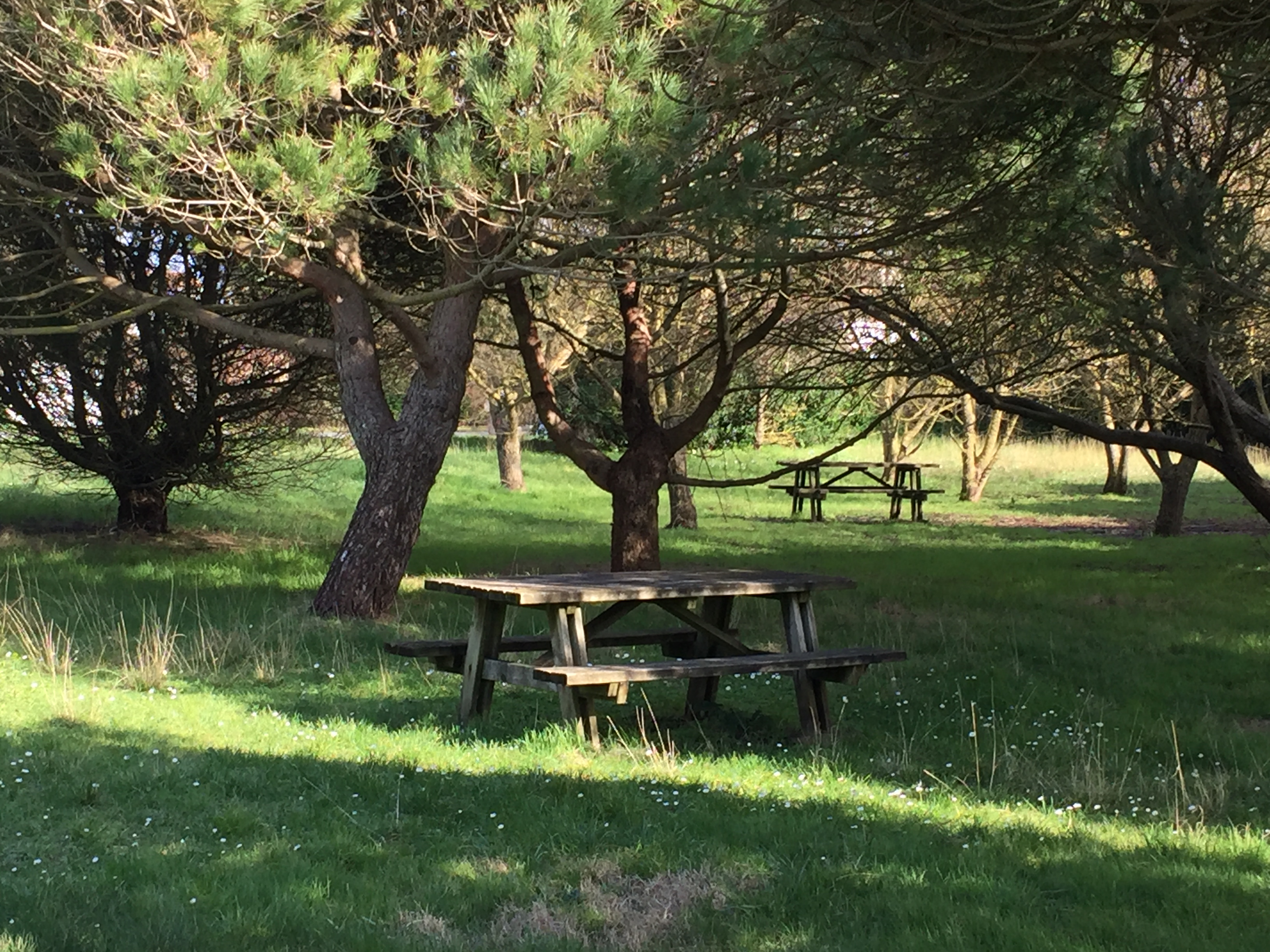 Aire de pique-nique Square de la Rémigeasse