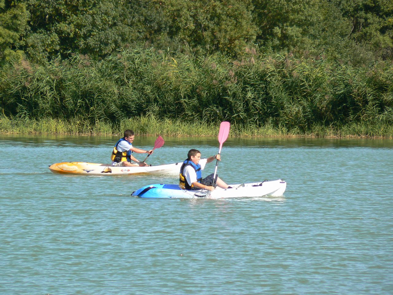 Société des sports et loisirs