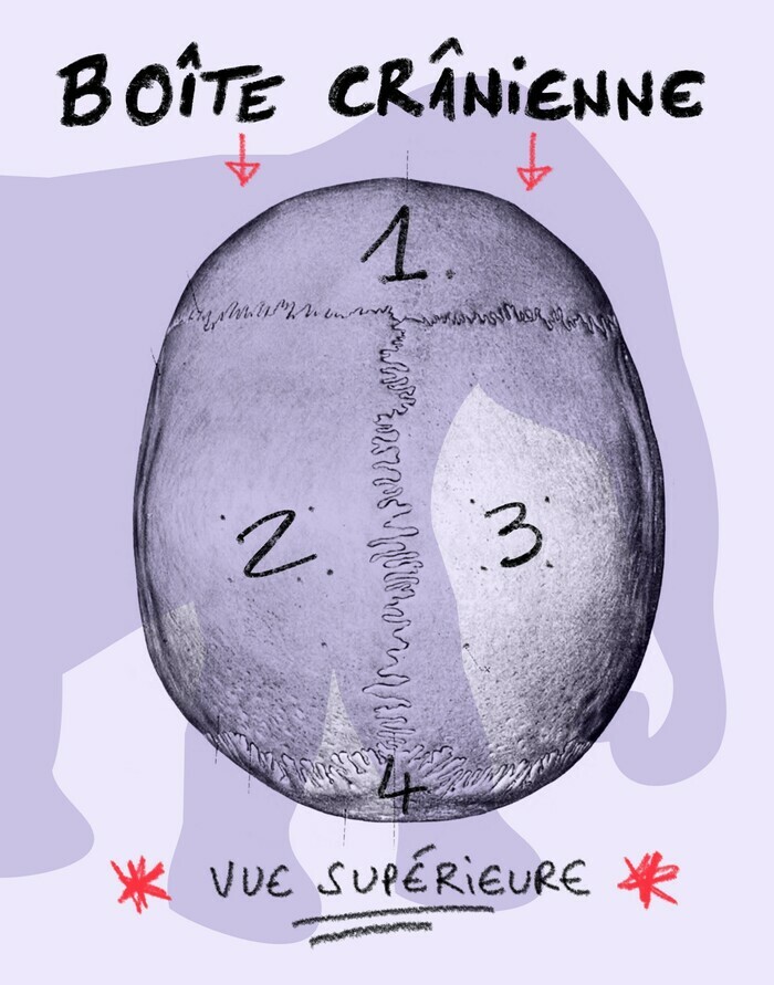 Les fantômes ne laissent pas de tessons