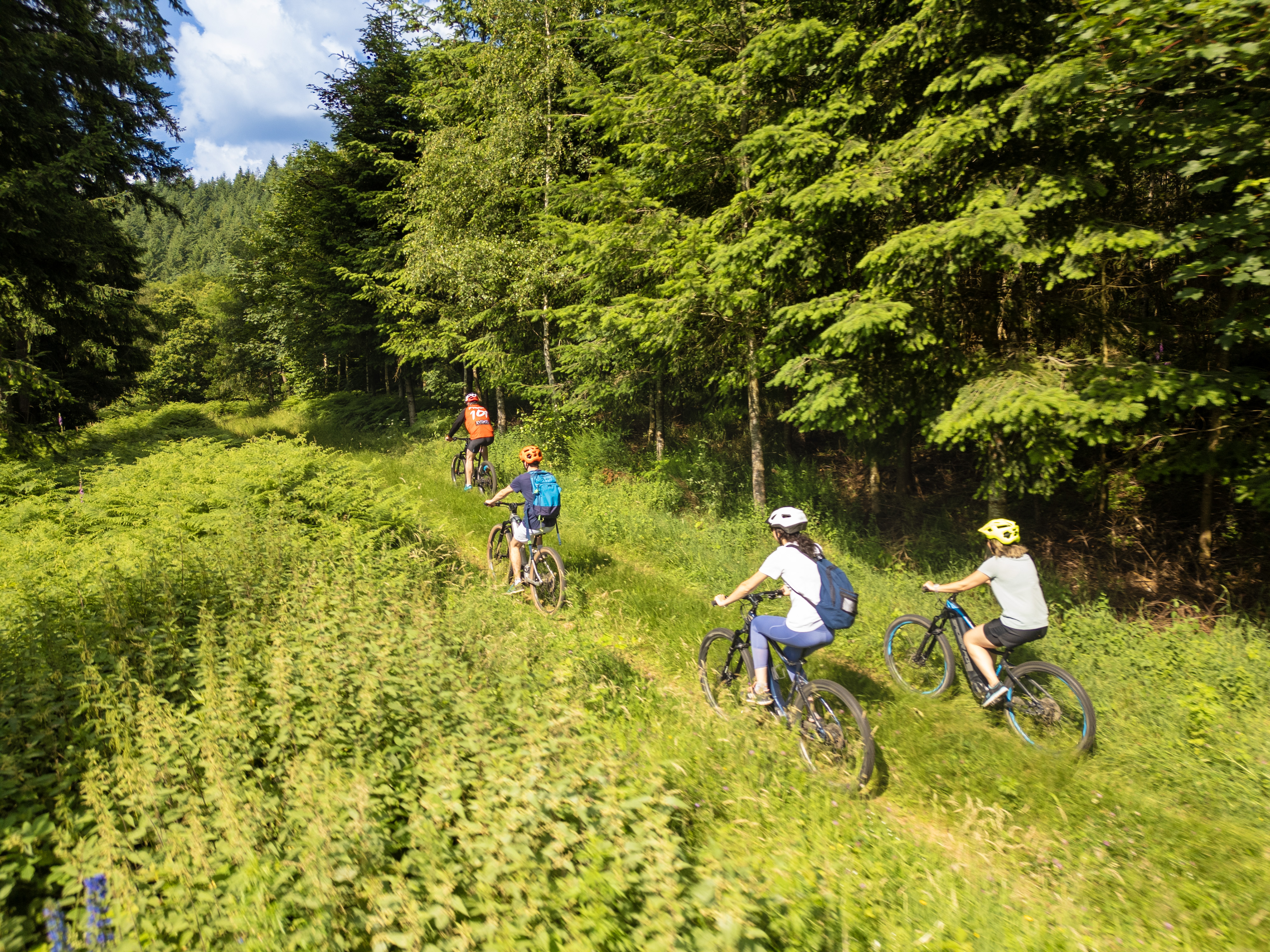 Balade en VTT au cœur de la forêt Roannaise