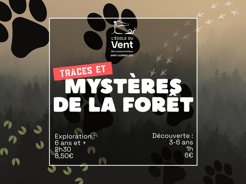 Traces & mystères de la forêt