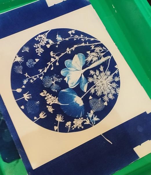 Atelier Cyanotype