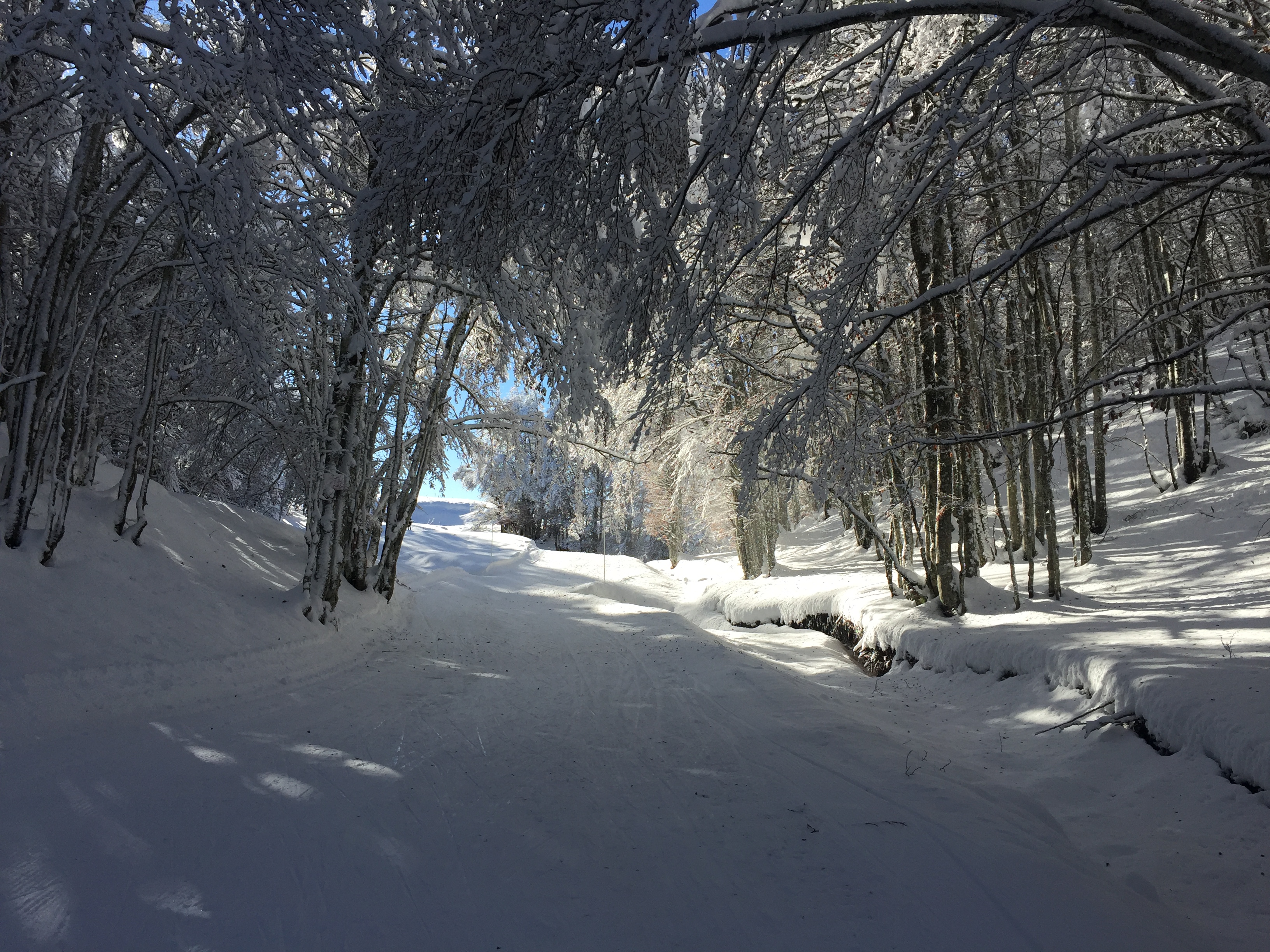 Piste verte de ski de fond du Plateau de Retord : La Vezeronce