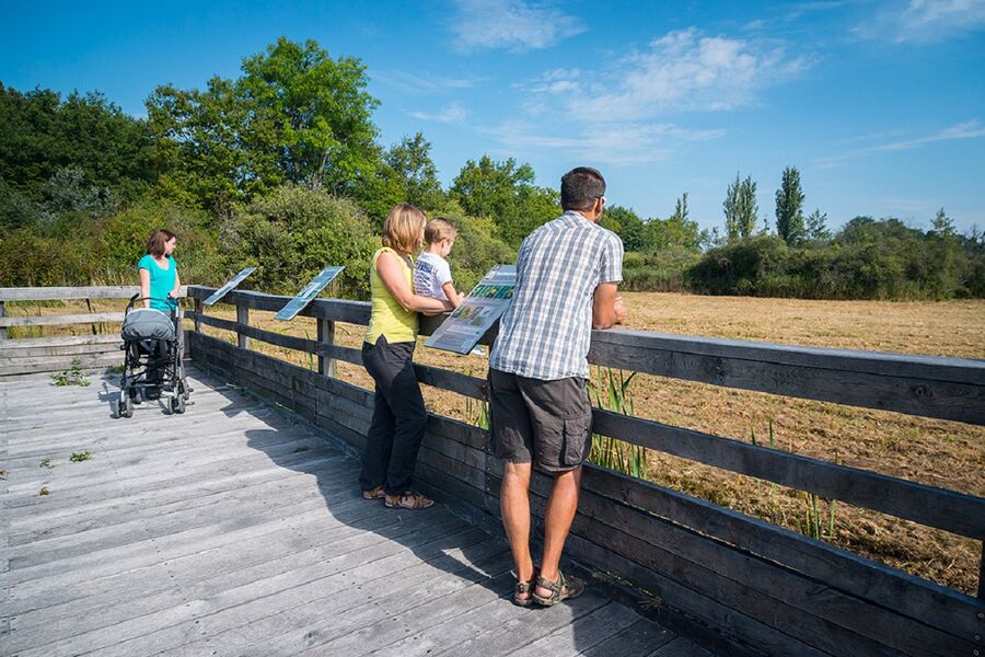 Ponton sur le sentier du marais de Chilly