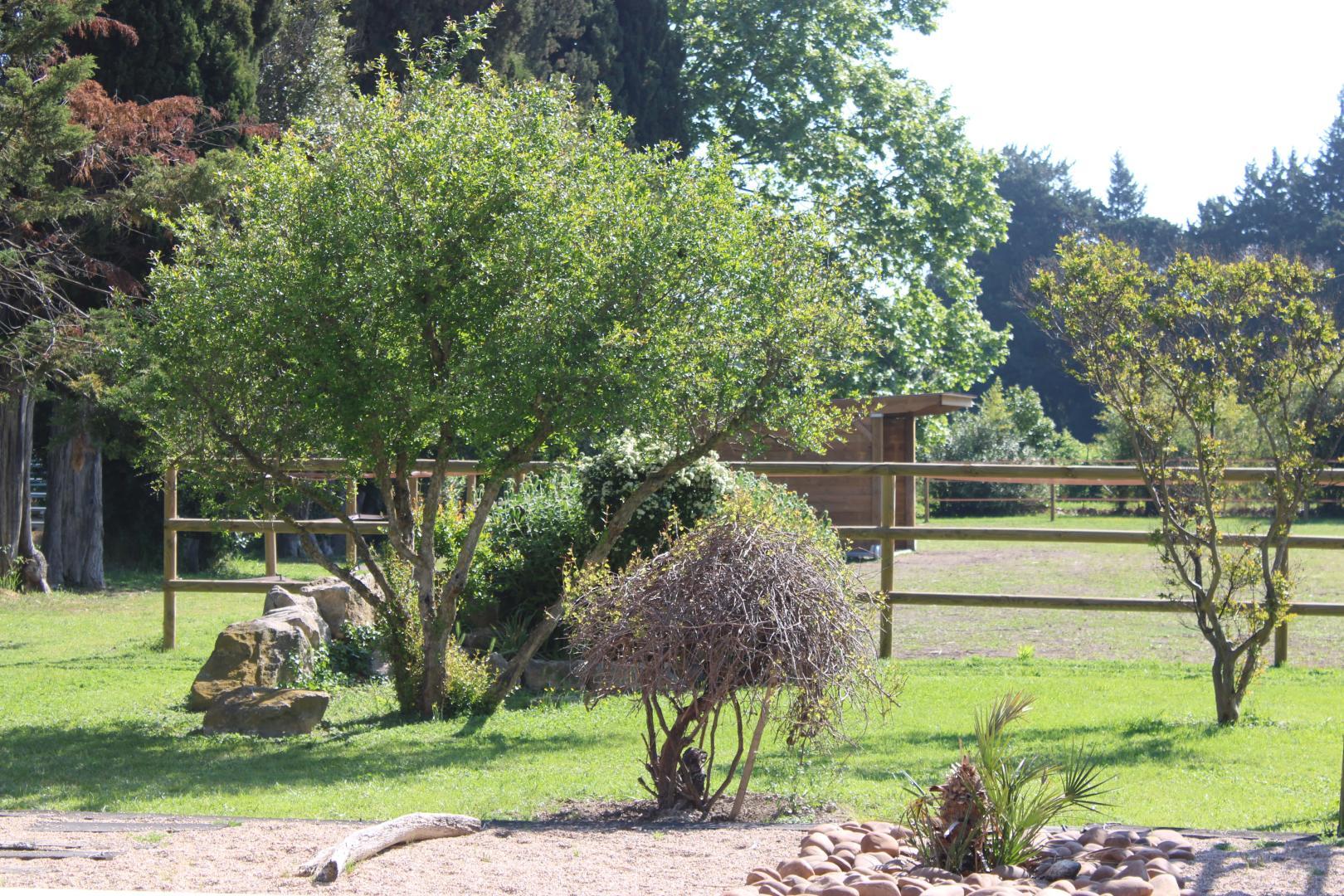 Le Mas des Fontaines, Châteaurenard - photo 13