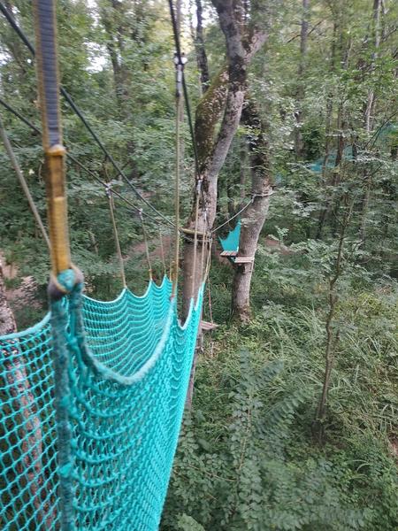 parcours accrobranche entre les arbres