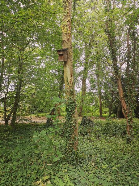 Parc du Moulin / Roger Moessner_Breuillet