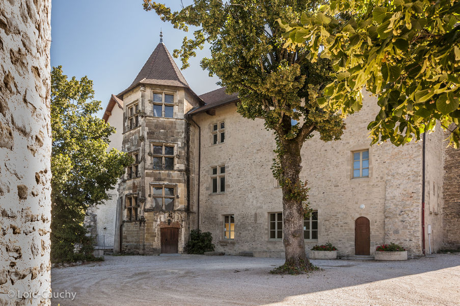 Randonnées à cheval en CAPI