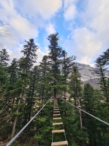 Passerelle Bois