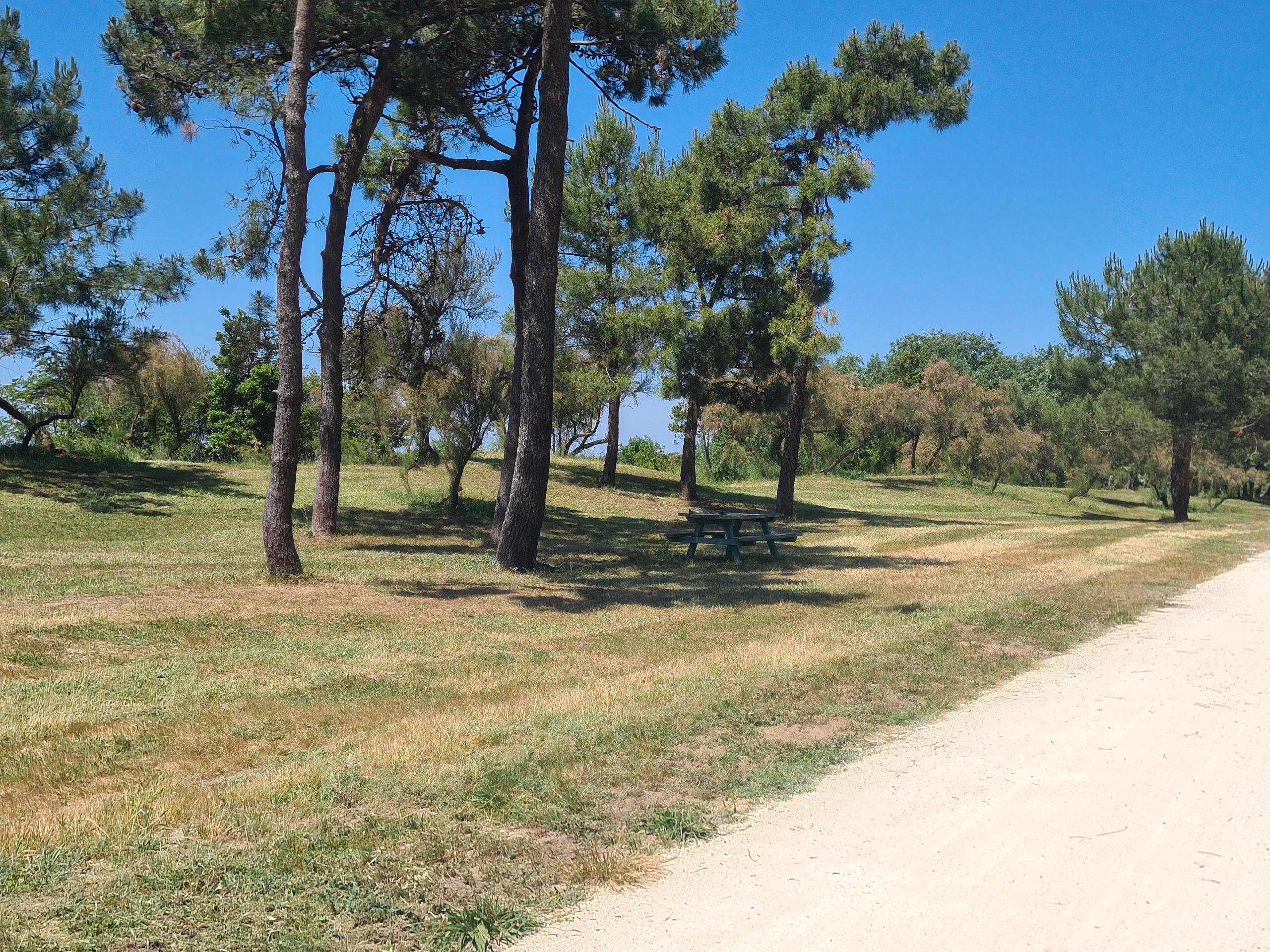 Aire de pique nique - Route du Douhet