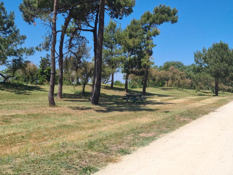 Aire de pique nique - Route du Douhet