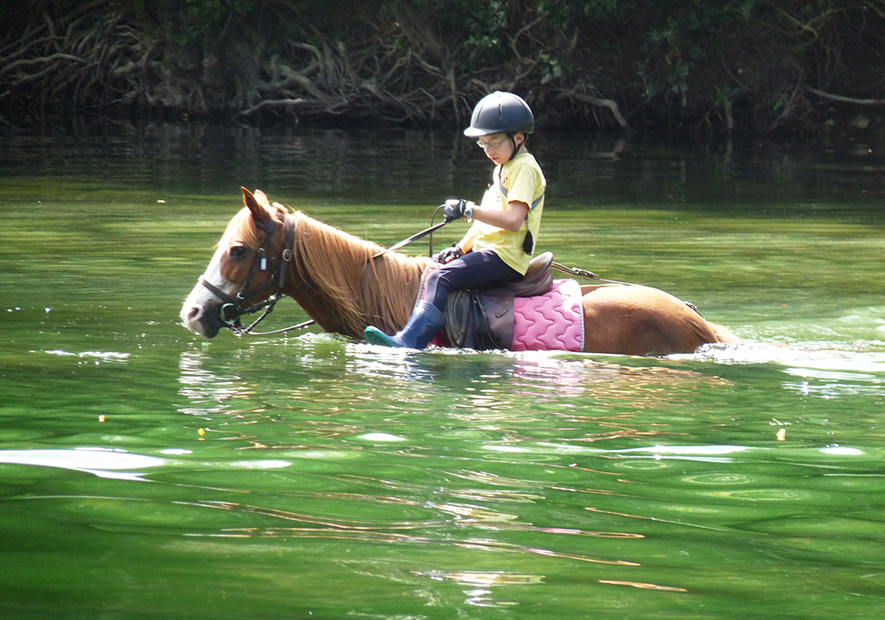 Randonnée Equestre Accompagnée - Equitation Chavetourte