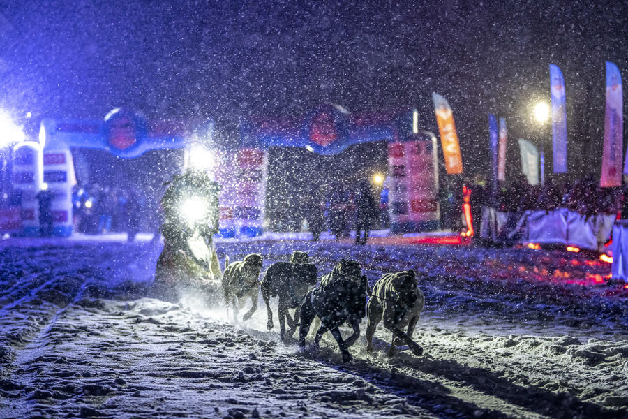 La Grande Odyssée VVF-Etape 6 Aussois Le 17 janv 2025