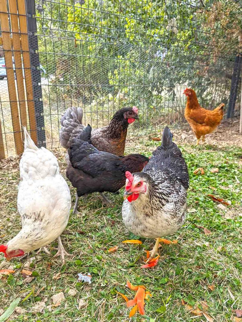 Le Panorama des Alpilles, Aureille - photo 30