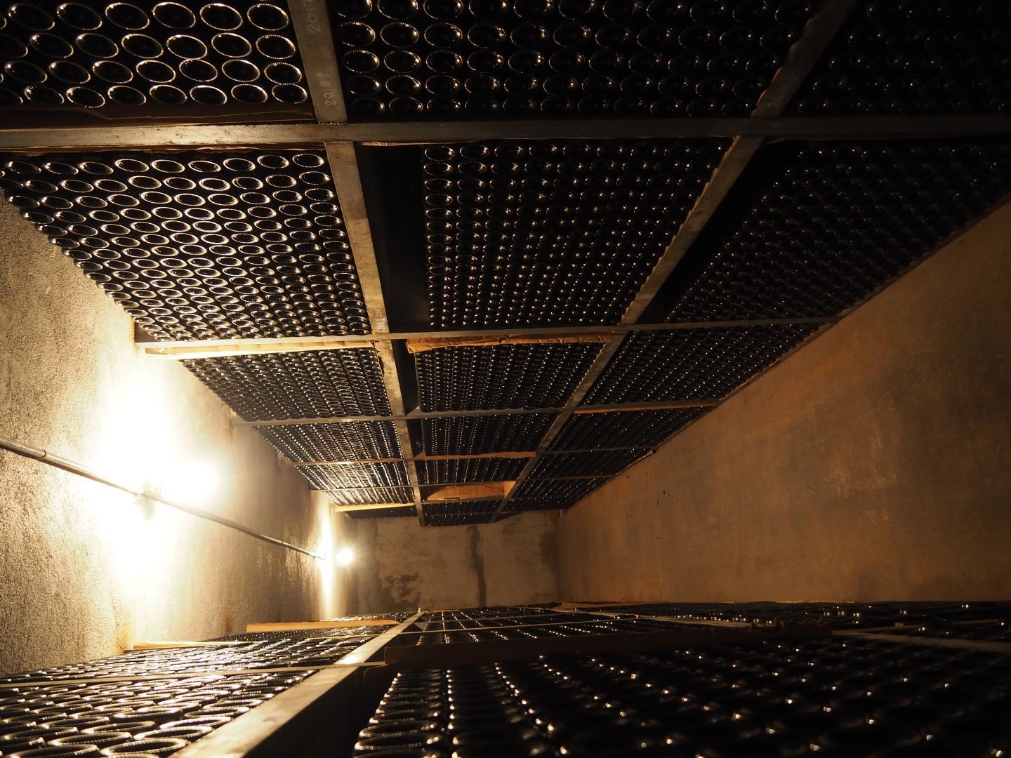 Figuier, Jouques - photo 51