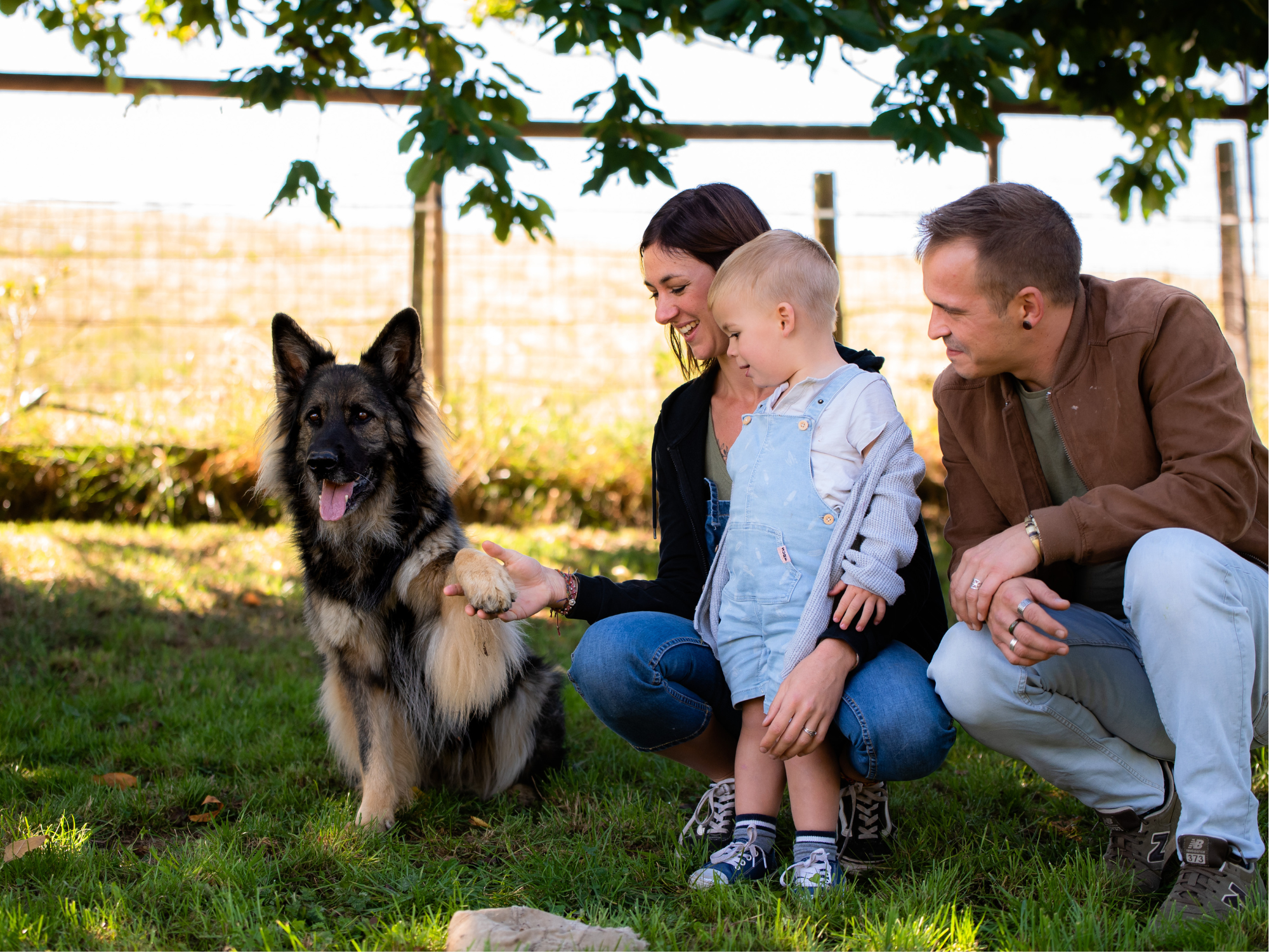 Rencontre avec les chiens