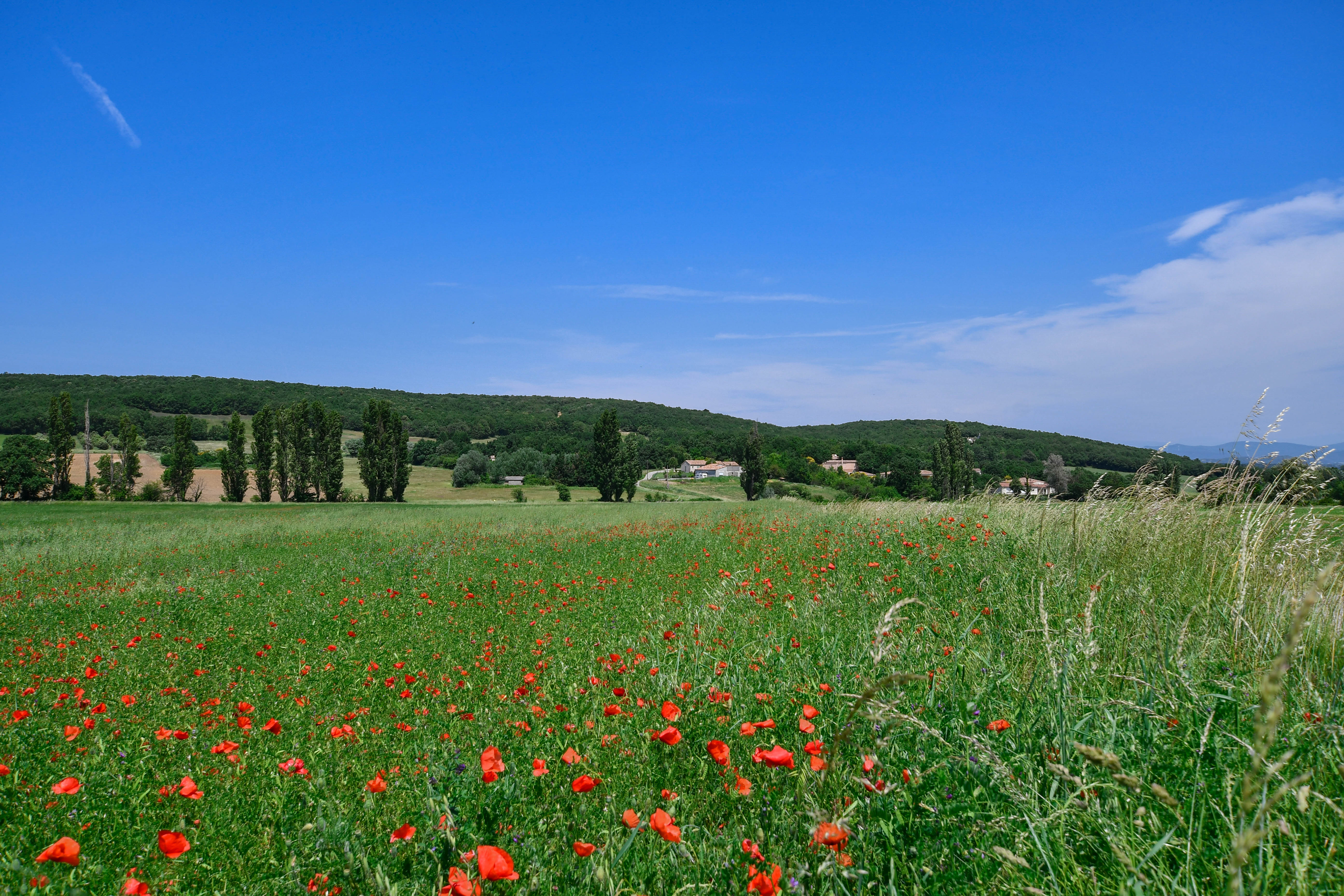 Coquelitcots La Touche